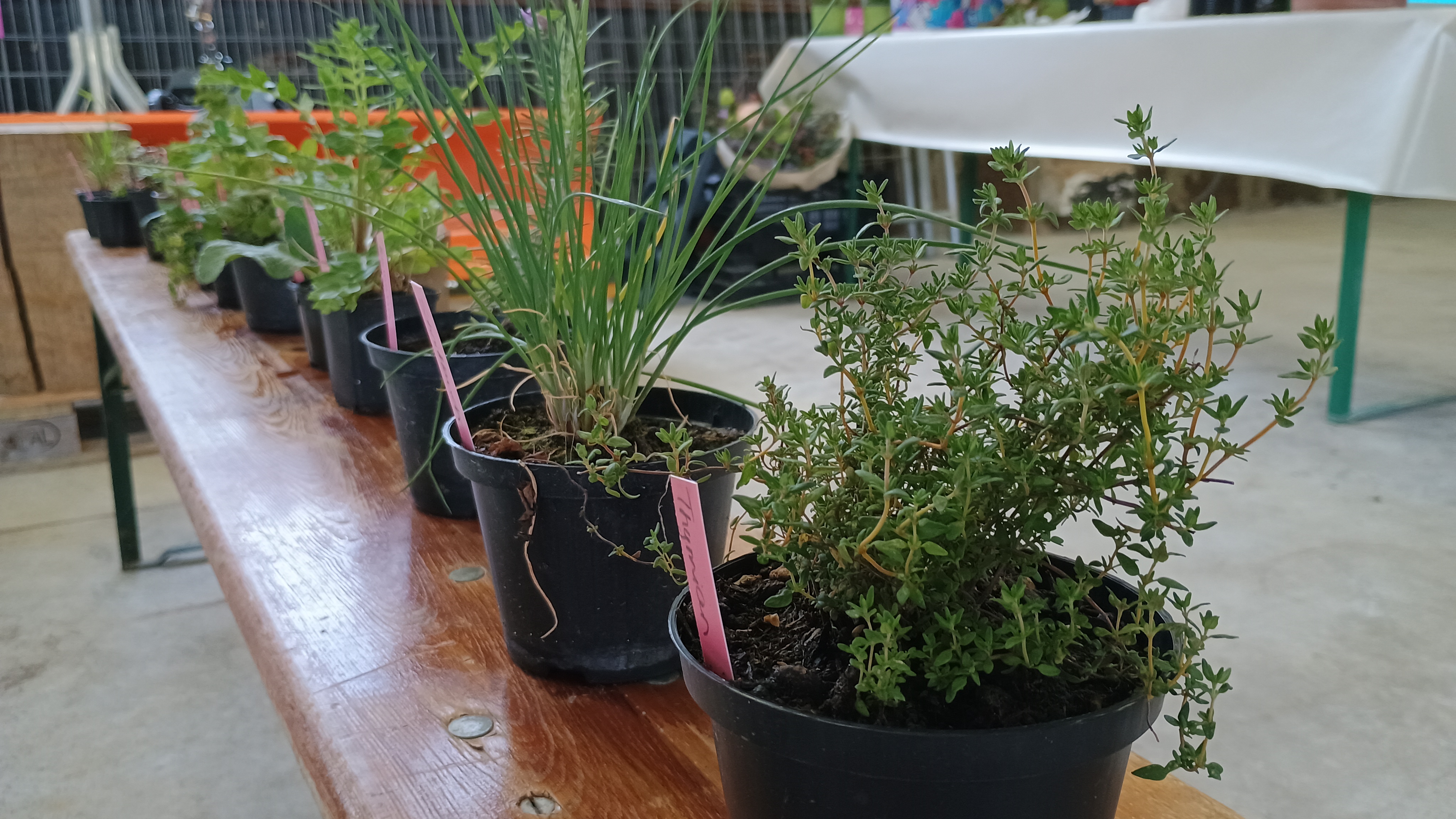 Gewerbe Wolfwil20241114 web0001